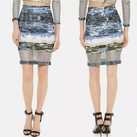 Yinal Azrouel Blue and Gray Women's Skirt